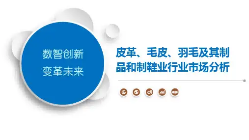 皮革、毛皮、羽毛及其制品和制鞋业行业市场分析
