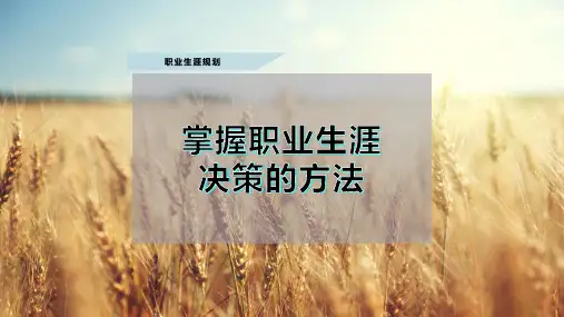 掌握职业生涯决策的方法