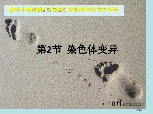 生物必修课堂教学染色体变异名师优质课赛课一等奖市公开课获奖课件