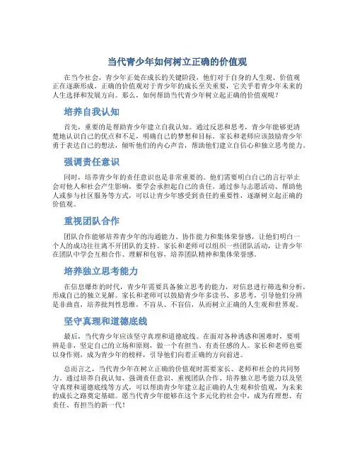 当代青少年如何树立正确的价值观作文
