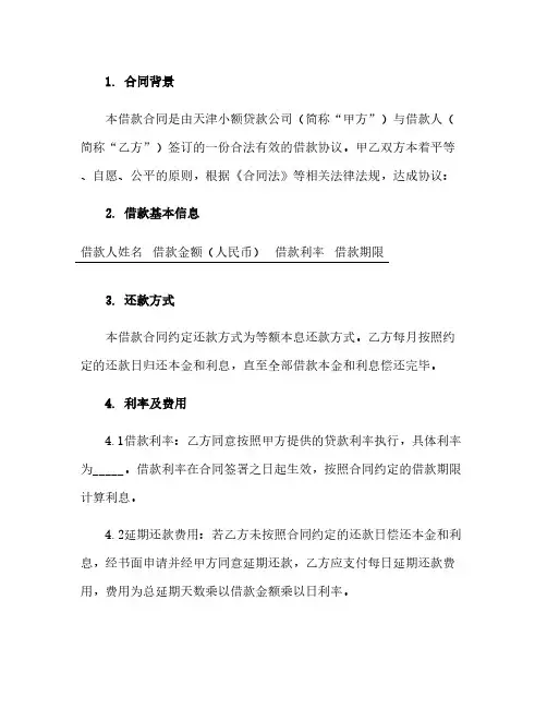 天津小额贷款公司借款合同(模板)文档