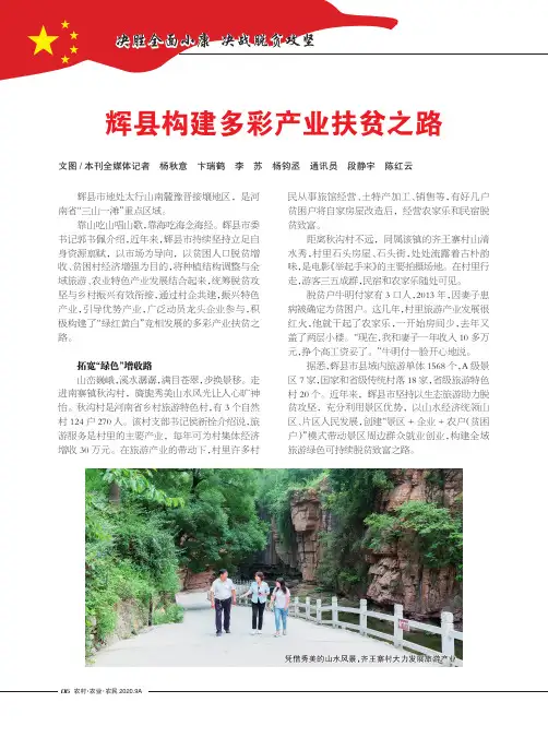 辉县构建多彩产业扶贫之路