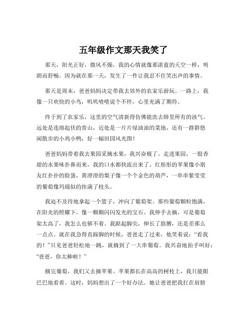 五年级作文那天我笑了