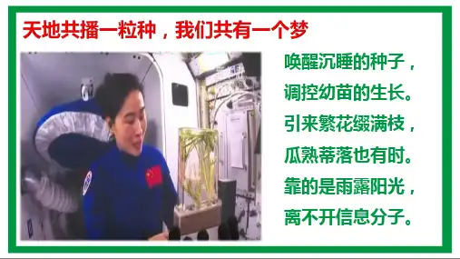 高三一轮复习生物5.1植物生长素课件
