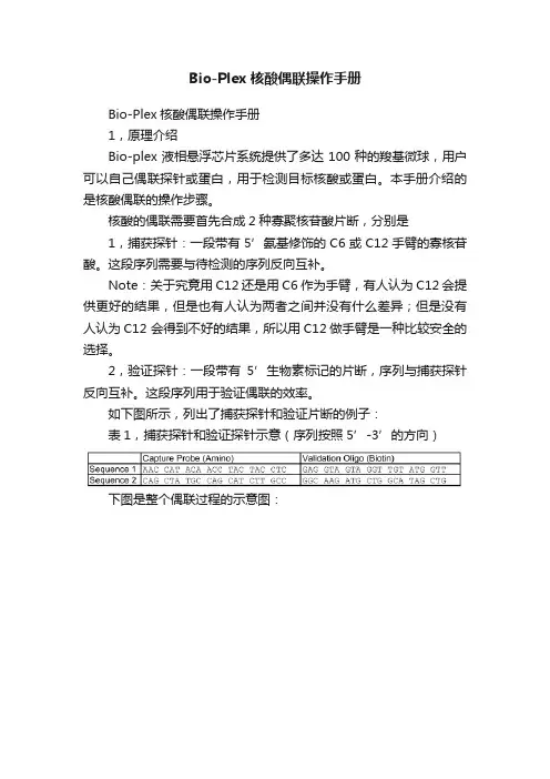 Bio-Plex核酸偶联操作手册