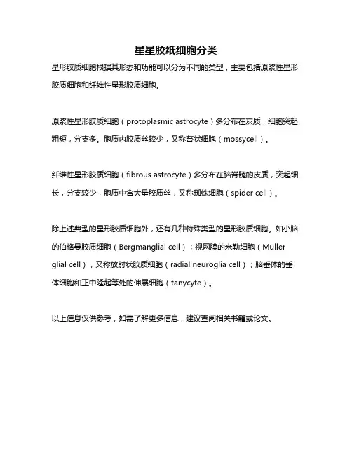 星星胶纸细胞分类