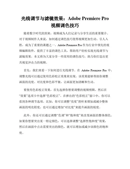 光线调节与滤镜效果 Adobe Premiere Pro视频调色技巧