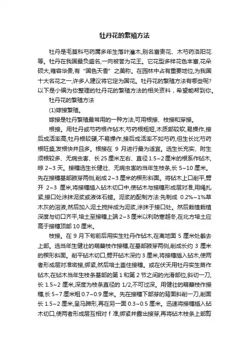 牡丹花的繁殖方法