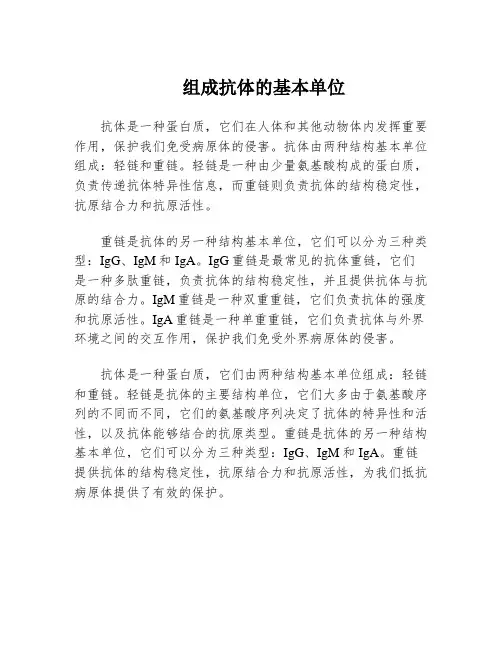 组成抗体的基本单位