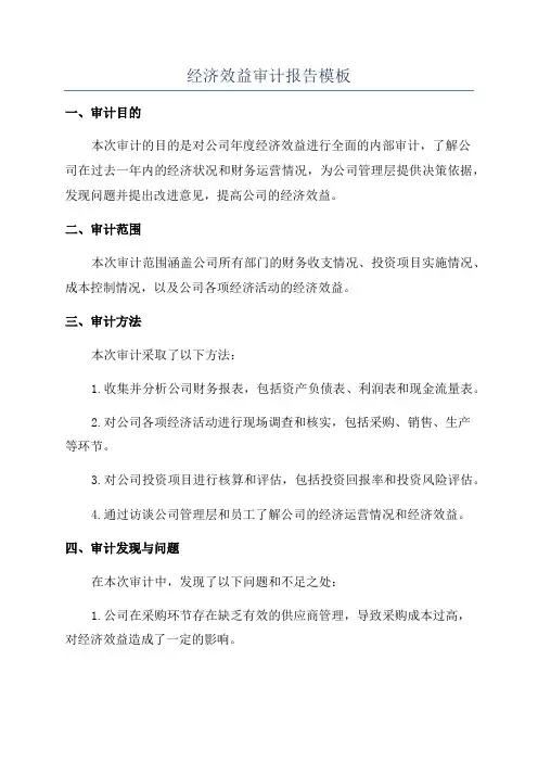 经济效益审计报告模板