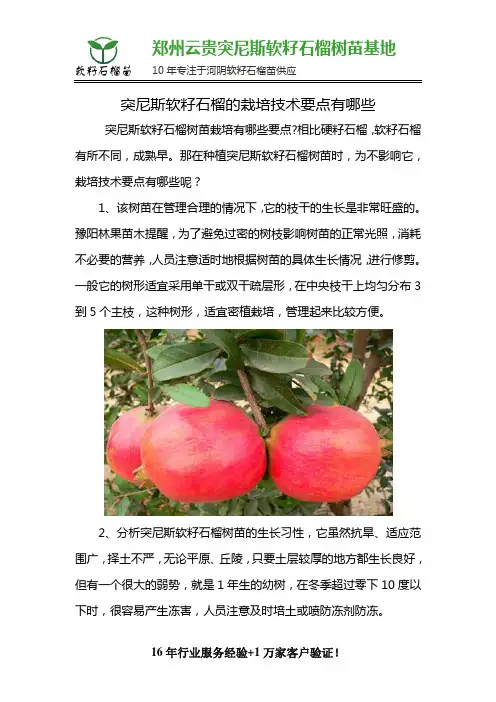 突尼斯软籽石榴的栽培技术要点有哪些