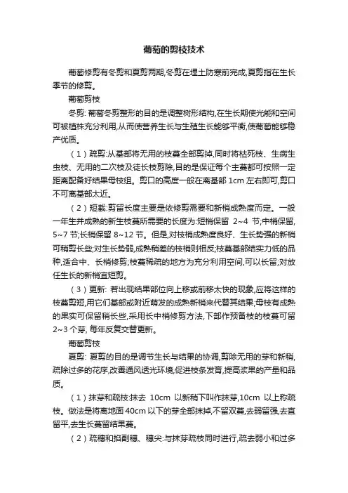 葡萄的剪枝技术