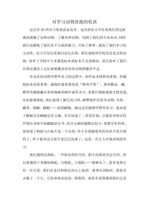 对学习动物资源的收获