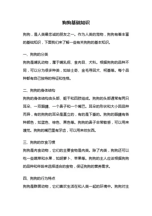 狗狗基础知识