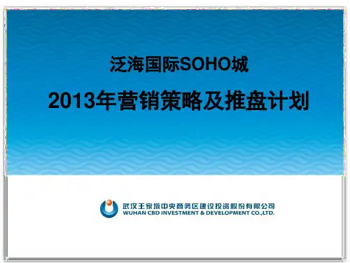 20130225_武汉_泛海国际SOHO城_销售策略_2013年销售策略及推盘计划_李静、朱海操
