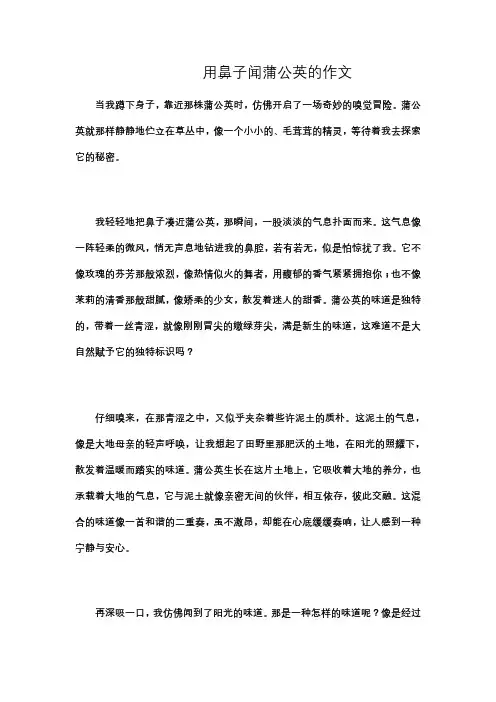 用鼻子闻蒲公英的作文