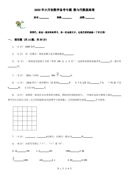 2020年小升初数学备考专题 数与代数提高卷