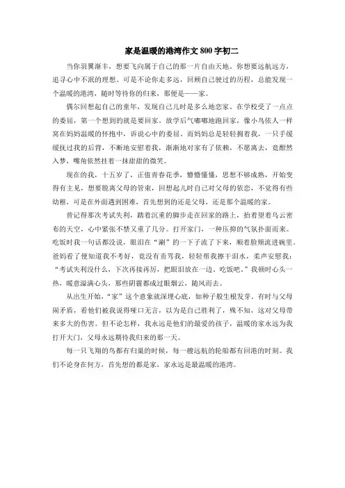 家是温暖的港湾作文800字初二