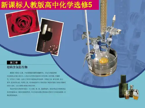人教版高中化学选修五第一节醇酚(共42张PPT)