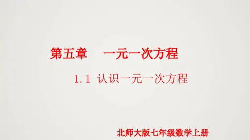 北师版初中七上数学5.1.1 认识一元一次方程(课件)