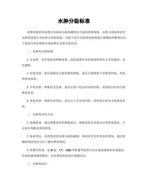 水肿分级标准