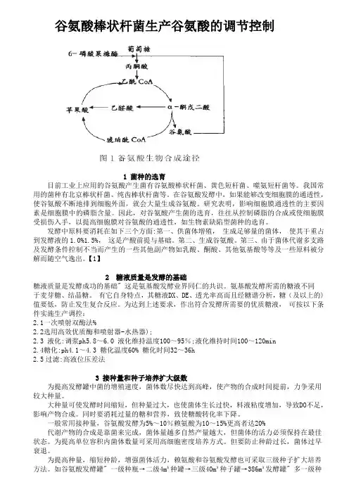 谷氨酸棒状杆菌生产谷氨酸的调节控制