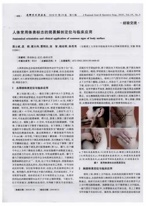 人体常用体表标志的简易解剖定位与临床应用