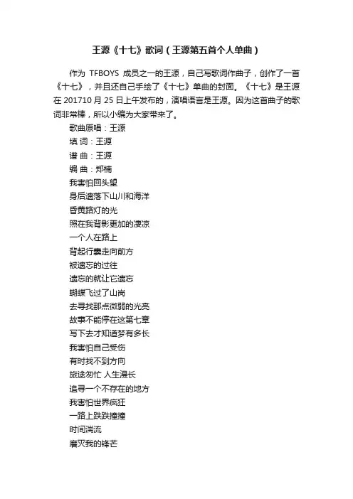 王源《十七》歌词（王源第五首个人单曲）