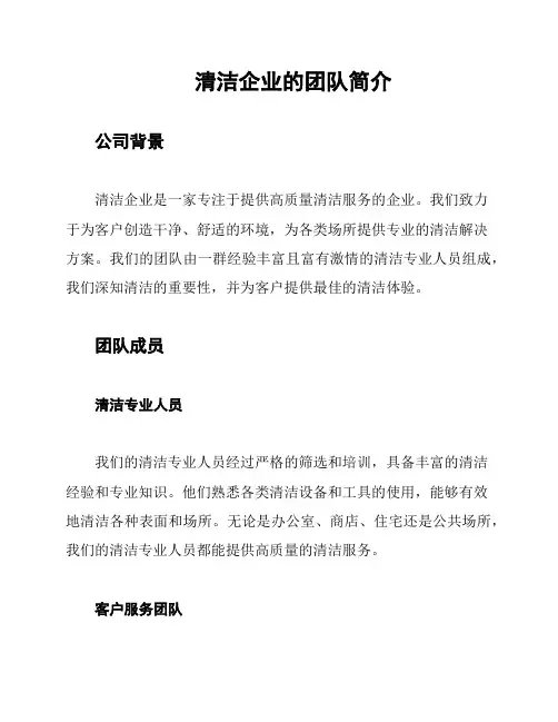 清洁企业的团队简介