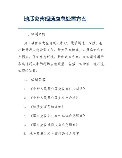 地质灾害现场应急处置方案