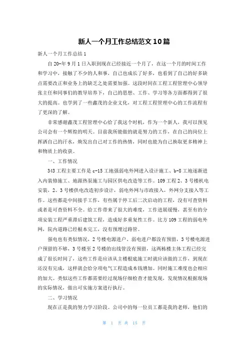 新人一个月工作总结范文10篇