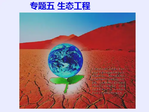 ly 选修3  生态工程的基本原理PPT课件