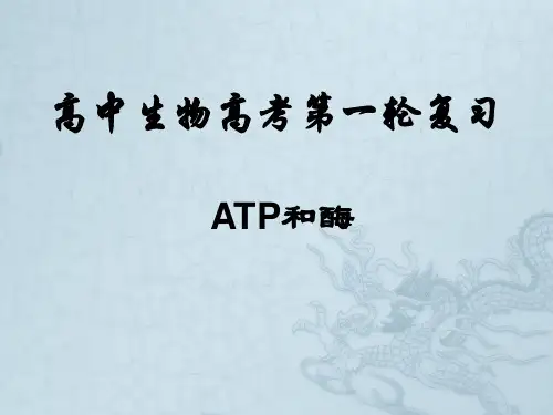 09-10高三生物高考第一轮复习课件课题七 酶和ATP