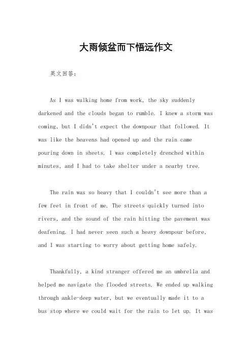大雨倾盆而下悟远作文