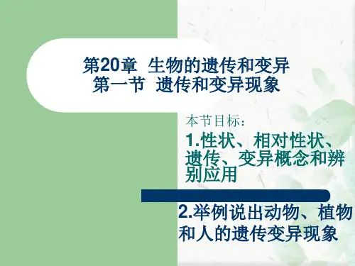遗传和变异现象课件ppt