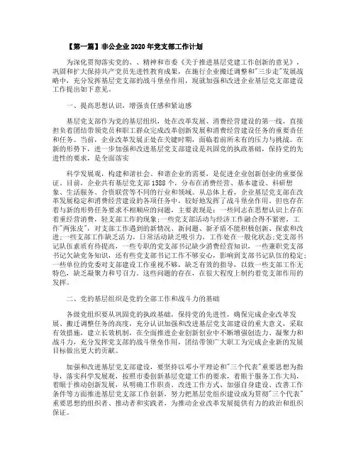 非公企业2020年党支部工作计划精选