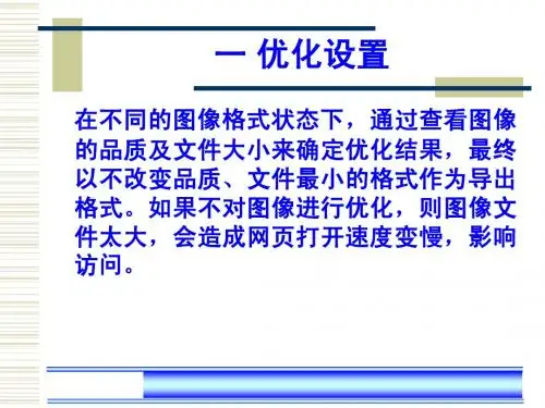 优化+导出