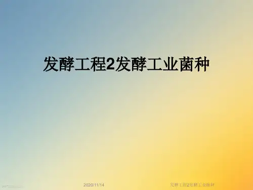 发酵工程2发酵工业菌种