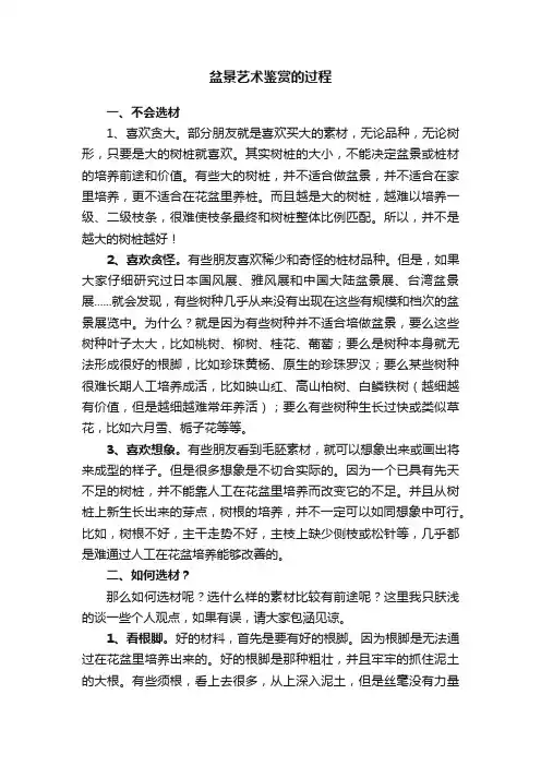 盆景艺术鉴赏的过程