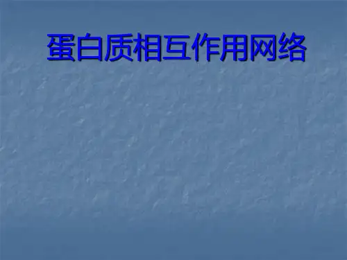 蛋白质相互作用PPT课件