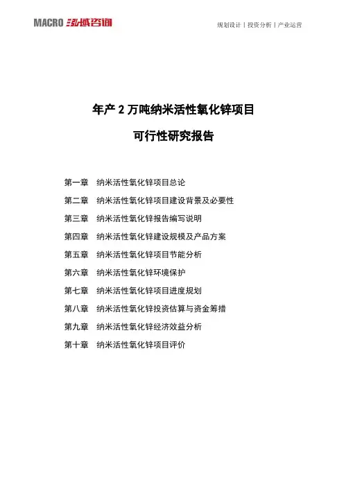 年产2万吨纳米活性氧化锌项目可行性研究报告