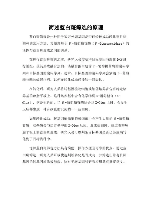 简述蓝白斑筛选的原理