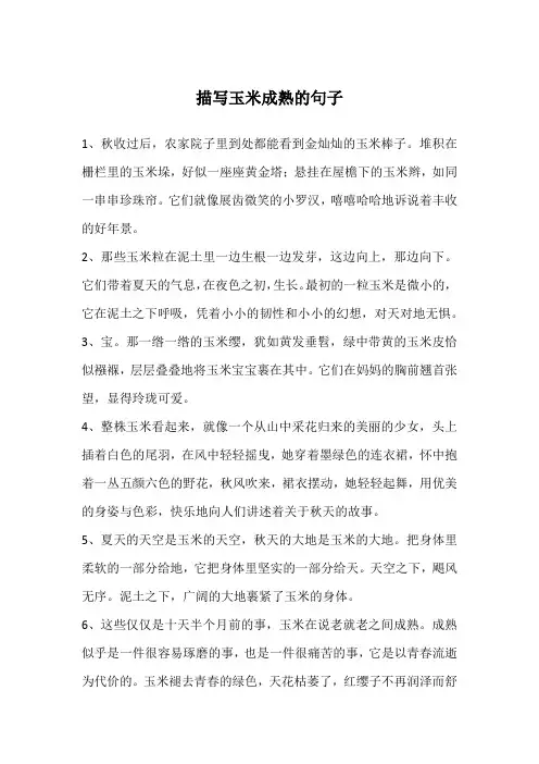 描写玉米成熟的句子