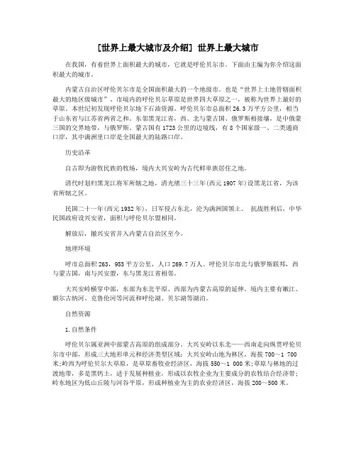 [世界上最大城市及介绍] 世界上最大城市