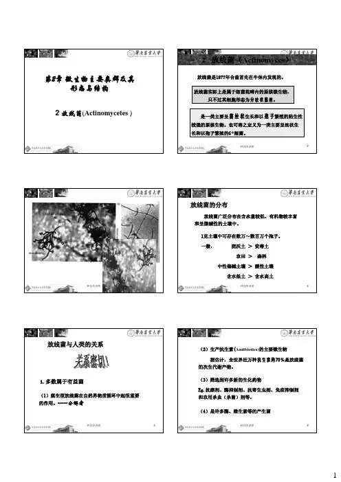 第2章(2)放线菌、蓝细菌等