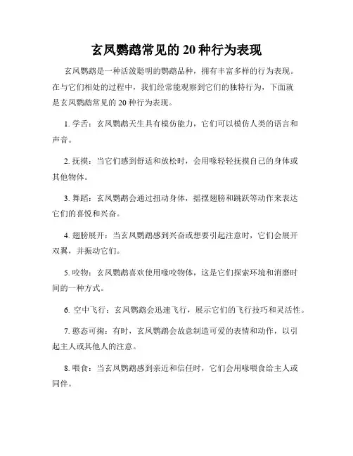 玄凤鹦鹉常见的20种行为表现