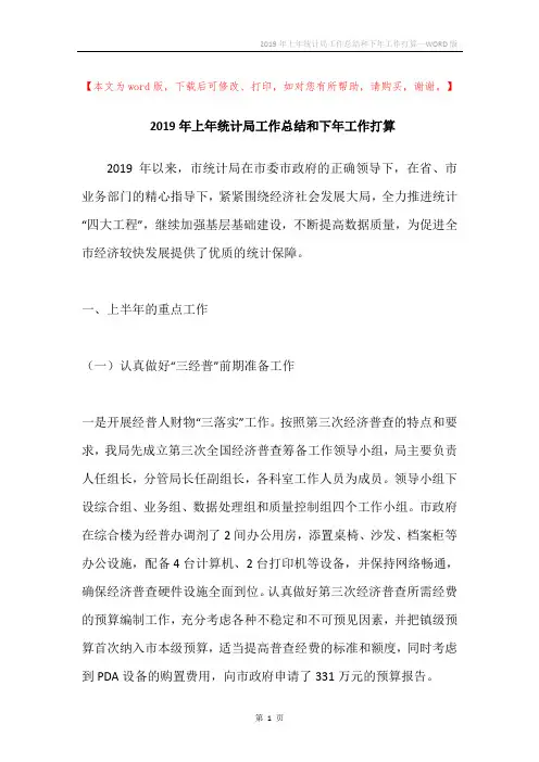 2019年上年统计局工作总结和下年工作打算