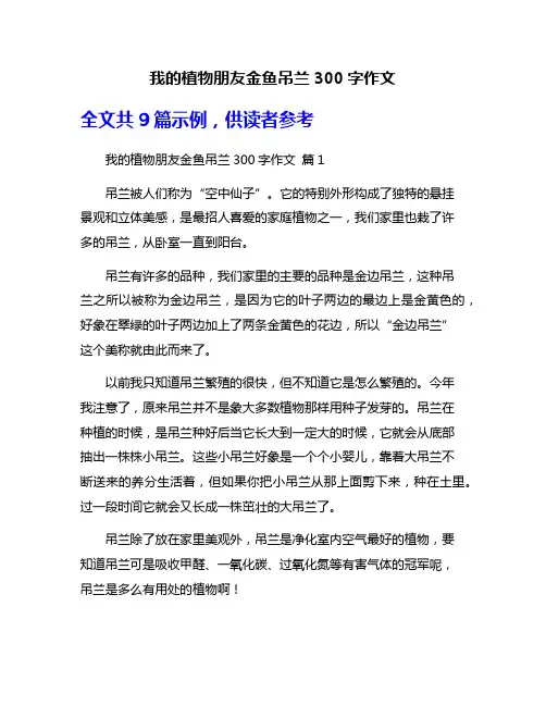 我的植物朋友金鱼吊兰300字作文