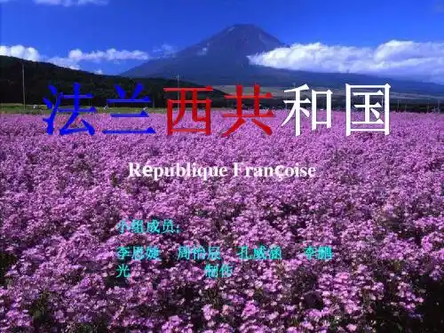 介绍法国 李思婕.ppt