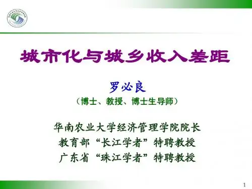 城市化与城乡收入差距(罗必良)